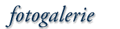 Fotogalerie
